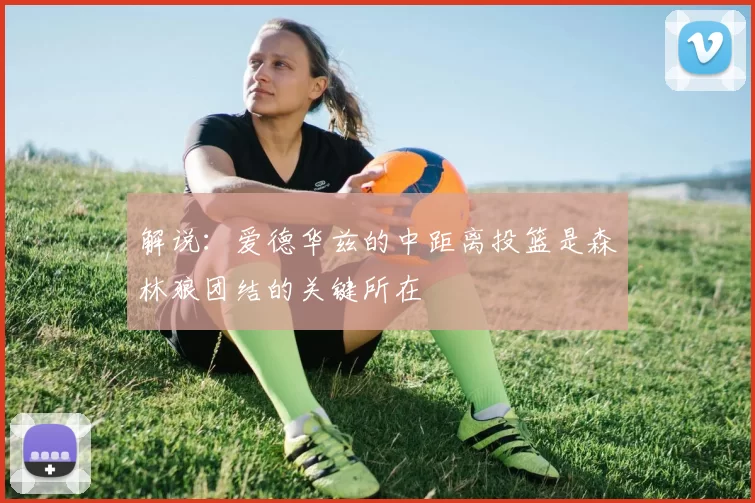 解说：爱德华兹的中距离投篮是森林狼团结的关键所在